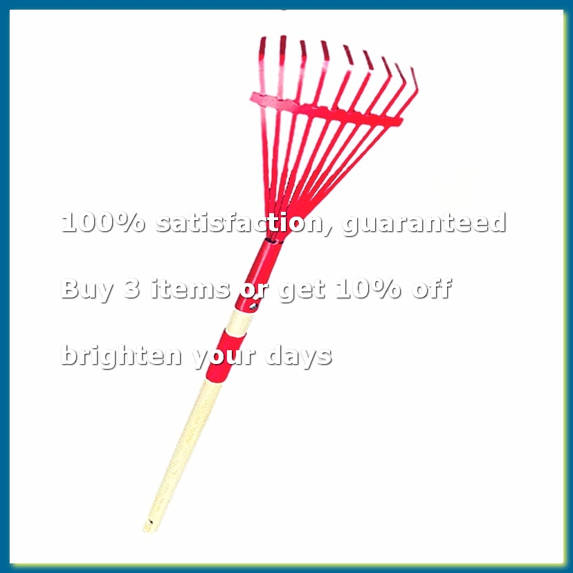 Gardening Tools For 3 Year Old - Kinderrechen mit Hartholzgriff und niedlichem Design,