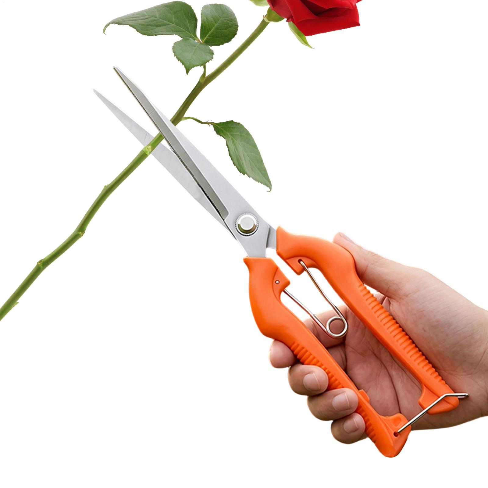 Gardening Tools Women - Professionelle Gartenschere aus Edelstahl für Weintrauben,