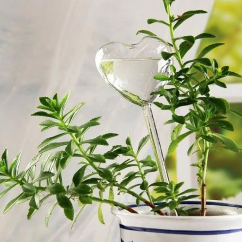 Gardening Tools Equipment - Haus/Garten Wasser Zimmerpflanze Blumentopf Wenig Liebe