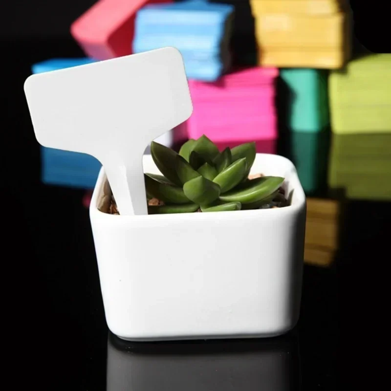 Gardening Tools Names - 20 Stück wasserdichte Pflanzen-Namensschilder aus Kunststoff