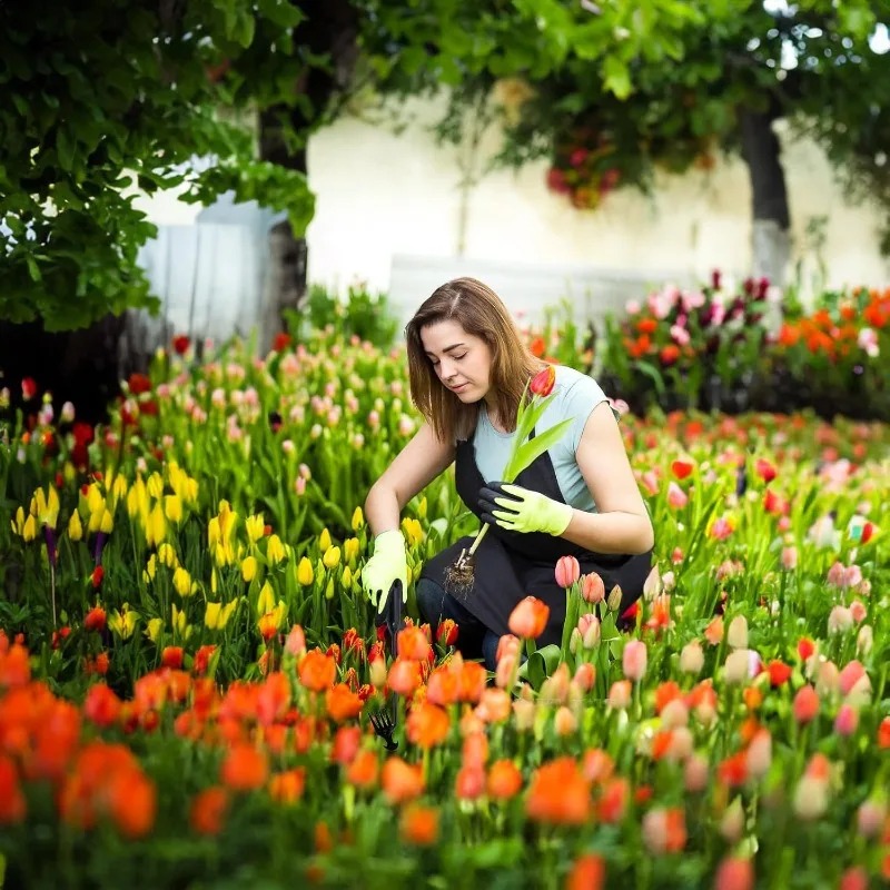 2-in-1 Gartenrechen: Manueller – Gardening Tools Shovel Bewertung und Preis