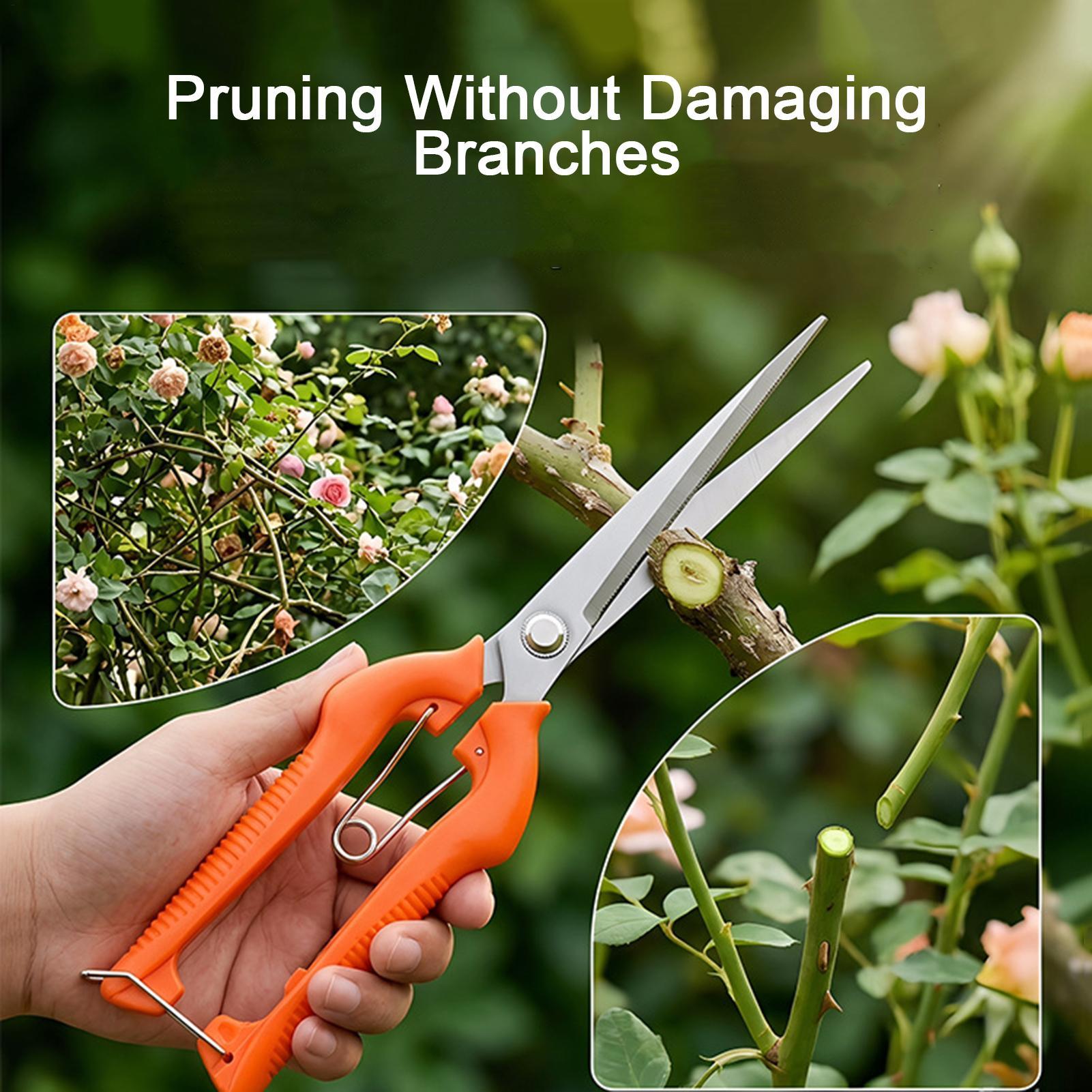 Professionelle Gartenschere au – Gardening Tools Women Bewertung und Preis