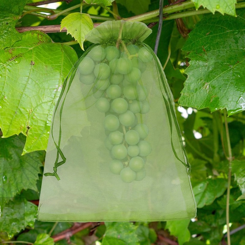 Großhandel Obstschutzbeutel: V – Gardening Tools Store Bewertung und Preis