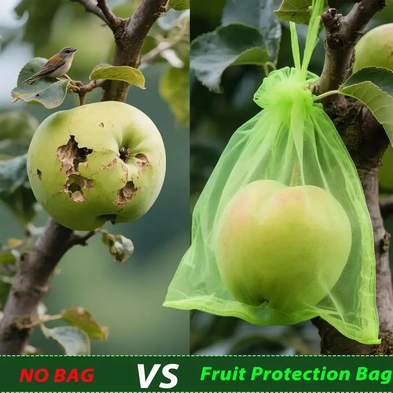 Großhandel Obstschutzbeutel: V – Gardening Tools Store Bewertung und Preis