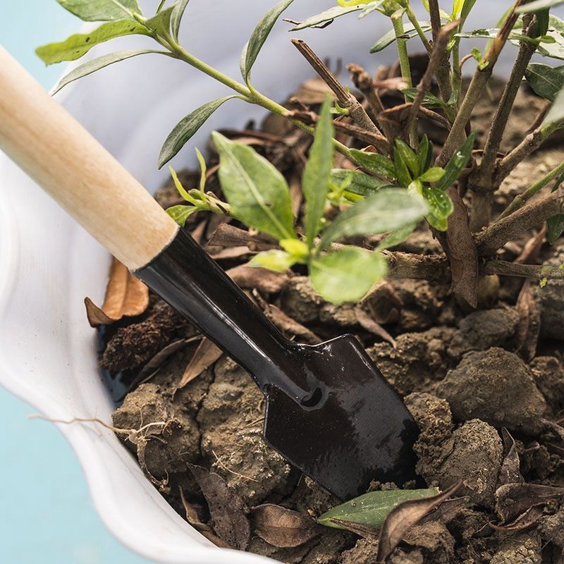 3-teiliges Mini-Gartengeräte-S – Gardening Tools Shovel Bewertung und Preis