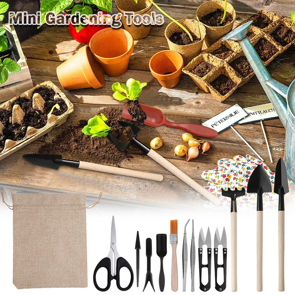 13 Stück Sukkulenten Werkzeugs – Gardening Tools Kit For Home Garden Bewertung und Preis