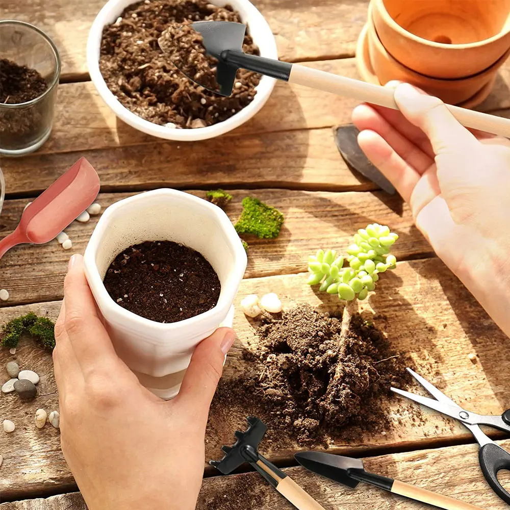 13 Stück Sukkulenten Werkzeugs – Gardening Tools Kit For Home Garden Bewertung und Preis