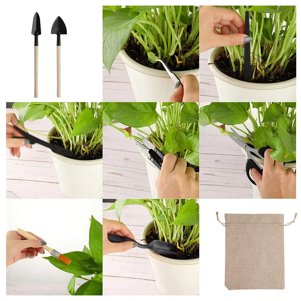 13 Stück Sukkulenten Werkzeugs – Gardening Tools Kit For Home Garden Bewertung und Preis
