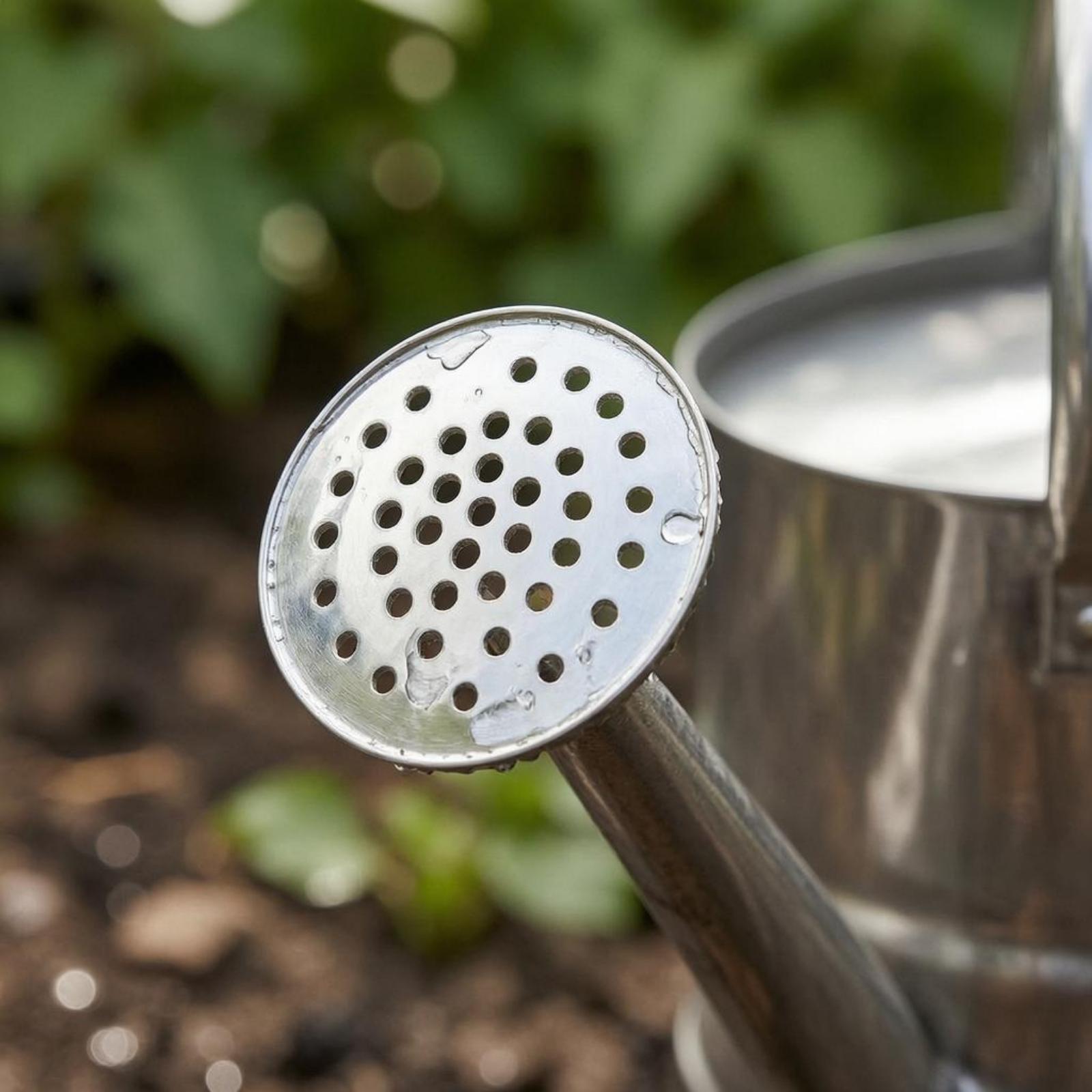 Garten-Blumen-Gießkanne aus Ed – Gardening Tools Watering Can Bewertung und Preis