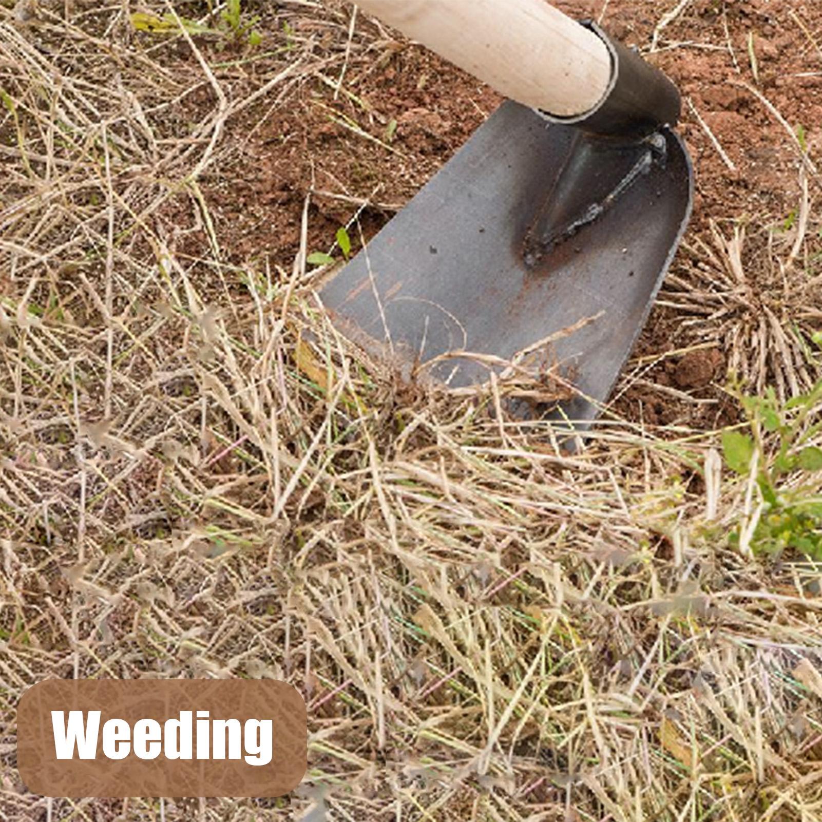 Manganstahl-Gartenhacke, wiede – Gardening Tools Women Bewertung und Preis