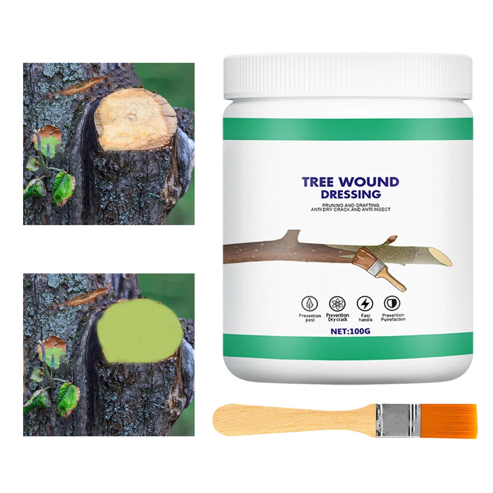Baumveredelungs-Paste, Wundver – Gardening Tools Women Bewertung und Preis
