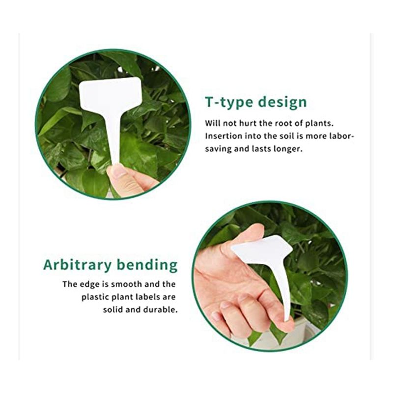 RANA Pflanzenetiketten, 300 St – Gardening Tools Names Bewertung und Preis