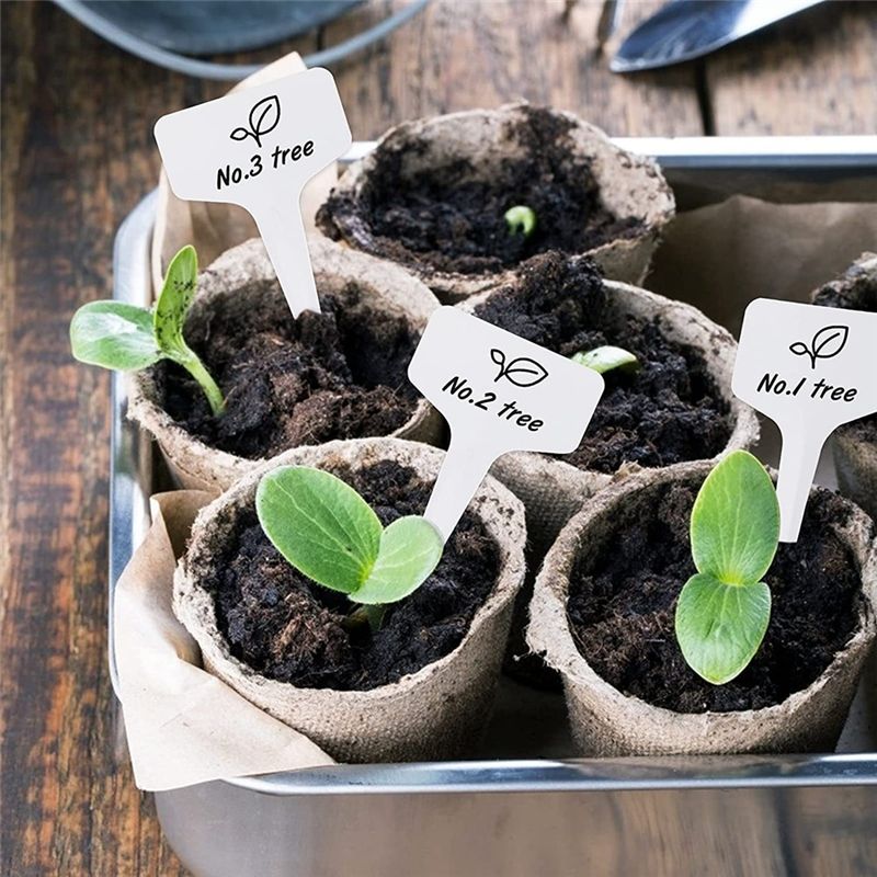 RANA Pflanzenetiketten, 300 St – Gardening Tools Names Bewertung und Preis