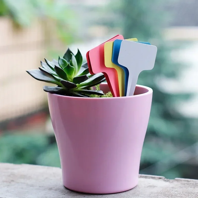 20 Stück wasserdichte Pflanzen – Gardening Tools Names Bewertung und Preis