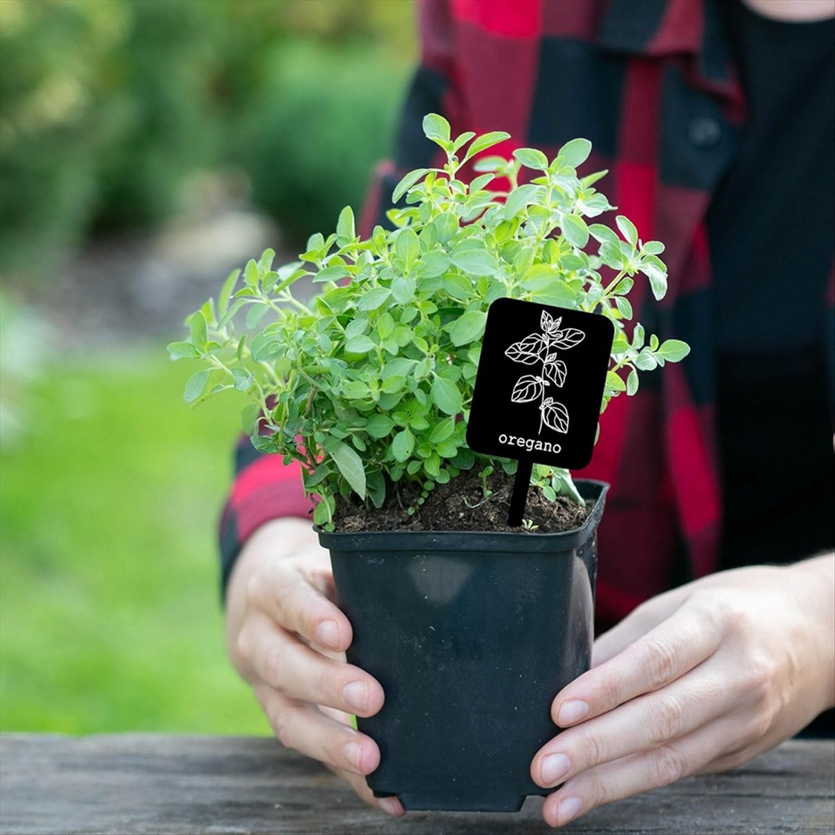 AA14 24 Stück Acryl-Pflanzenet – Gardening Tools Names Bewertung und Preis