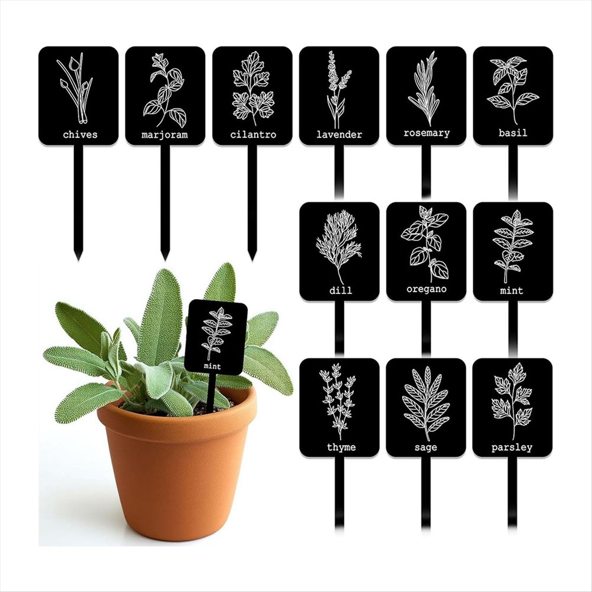 AA14 24 Stück Acryl-Pflanzenet – Gardening Tools Names Bewertung und Preis